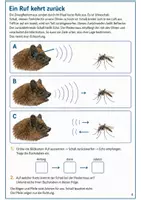 Vorschau - Arbeitsblätter - Fledermäuse und Echoortung – Mission Nachtflug | Biologie Klasse 5-6 - Seite 3