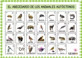 Vista previa - Juegos / Gamificación - Mural Abecedario de los animales autóctonos - Portada
