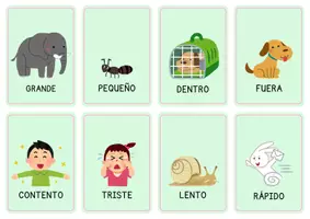 Vista previa - Juegos / Gamificación - Tarjetas educativas antónimos y sinónimos ilustrativos - Portada