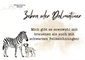 Vorschau - Spiele - Dalmatiner vs. Zebra-Fragenspiel für tiergesützte Pädagogik - Seite 1