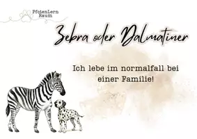 Vorschau - Spiele - Dalmatiner vs. Zebra-Fragenspiel für tiergesützte Pädagogik - Seite 2