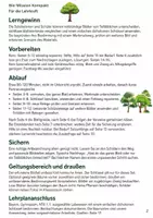 Vorschau - Arbeitsblätter - Bäume und Blätter bestimmen – Mission Baumdetektive | Biologie Klasse 5-6 - Seite 1