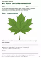 Vorschau - Arbeitsblätter - Bäume und Blätter bestimmen – Mission Baumdetektive | Biologie Klasse 5-6 - Seite 2