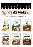 Vorschau - Unterrichtsreihen - Lesen- Lesefächer Igel | Leseförderung, Sachtexte - Deckblatt