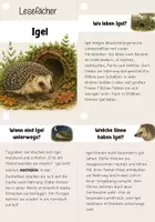 Vorschau - Unterrichtsreihen - Lesen- Lesefächer Igel | Leseförderung, Sachtexte - Seite 2