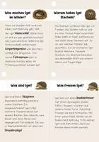 Vorschau - Unterrichtsreihen - Lesen- Lesefächer Igel | Leseförderung, Sachtexte - Seite 3