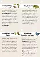 Vorschau - Unterrichtsreihen - Lesen- Lesefächer Schmetterlinge | Leseförderung, Sachtexte - Seite 3