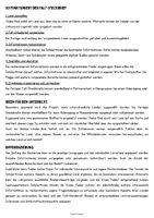 Vorschau - Arbeitsblätter - 🌍 Länder der Welt – Länder-Steckbrief zum Recherchieren & Falten Klasse 5 6 - Seite 2