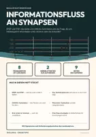 Vorschau - Arbeitsblätter - EPSP, IPSP und Summation – Neurobiologie Q2 - Seite 1