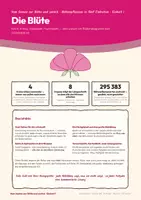 Vorschau - Arbeitsblätter - Aufbau der Blüte – Biologie Klasse 5/6 - Seite 1