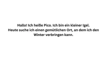Vorschau - Bildkarten - Kamishibai – Pico, der Igel sucht einen Unterschlupf | Waldtiere & Herbst - Seite 2