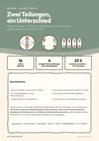 Vorschau - Arbeitsblätter - Mitose und Meiose – Biologie Klasse 9/10 - Seite 1
