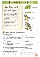 Vorschau - Unterrichtsreihen - Wald Klasse 5-6 Materialpaket - Seite 3