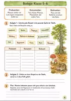Vorschau - Arbeitsblätter - Nahrungsbeziehungen im Wald – Klassenarbeitstraining Biologie Klasse 5-6 - Seite 3