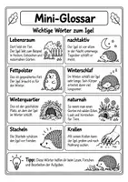 Vorschau - Arbeitsblätter - Igel-Forscherheft Klasse 2 mit Lösungen - Seite 3