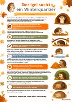 Vorschau - Spiele - Herbst-Bewegungsgeschichten-Klasse 1/2 - Seite 2