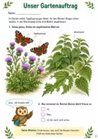 Vorschau - Arbeitsblätter - Schmetterlinge – Mission Schmetterlingsgarten | Sachunterricht Klasse 3-4 - Seite 2