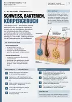 Vorschau - Arbeitsblätter - Pheromone Maxxing - Seite 3