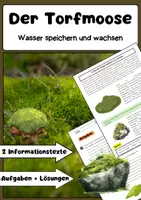 Vorschau - Arbeitsblätter - Torfmoose: Moor, Torfbildung & Klimaschutz - Deckblatt