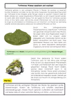 Vorschau - Arbeitsblätter - Torfmoose: Moor, Torfbildung & Klimaschutz - Seite 1