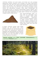 Vorschau - Arbeitsblätter - Torfmoose: Moor, Torfbildung & Klimaschutz - Seite 2