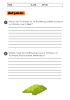 Vorschau - Arbeitsblätter - Torfmoose: Moor, Torfbildung & Klimaschutz - Seite 3