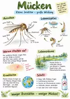 Vorschau - Arbeitsblätter - Lernplakat + AB mit Fragen zum Thema "Mücken" + Lösungsblatt + Infografik - Deckblatt