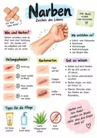Vorschau - Arbeitsblätter - Lernposter + AB mit Fragen zum Thema "Narben" + Lösungsblatt + Infografik - Deckblatt