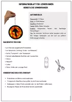 Vorschau - Mal- und Bastelvorlagen - Sonnenfänger Fensterbilder Herbst – Suncatcher mit Seidenpapier/Transparentpapier basteln | Bastelvorlage für die Grundschule Klasse 1 2 - Seite 2