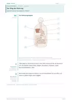 Vorschau - Unterrichtsreihen - Materialpaket: der menschliche Körper - Deckblatt