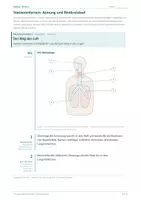 Vorschau - Stationenlernen - Stationenlernen: Atmung und Kreislauf - Deckblatt
