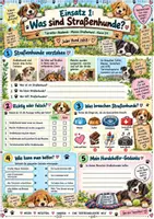 Vorschau - Unterrichtsreihen - Tierschutz: Kleine Helden für große Pfoten – Mission Straßenhund. Kindgerechtes Unterrichtsmaterial zu Straßenhunden & Tierschutz | Klasse 3/4 - Seite 1