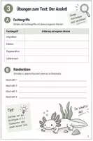 Vorschau - Arbeitsblätter - Sachtexte - Seite 3