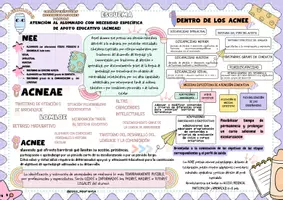 Vista previa - Refuerzo / NEE / Materiales de apoyo - PLANTILLAS ACNEAE, atencion a la DIVERSIDAD - página 1