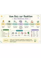 Vorschau - Arbeitsblätter - Wanyvo´s Lernspuren Vom Reiz zur Reaktion - Seite 1