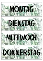 Vorschau - Stundenentwürfe - Materialpaket Klassenleitung Pflanzendesign - Seite 2