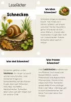 Vorschau - Unterrichtsreihen - Lesen- Lesefächer Schnecken | Leseförderung, Sachtexte - Seite 2
