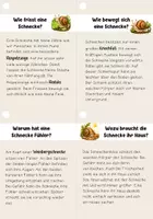 Vorschau - Unterrichtsreihen - Lesen- Lesefächer Schnecken | Leseförderung, Sachtexte - Seite 3