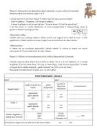 Aperçu - Autre type de ressources - pack complet 3 minis histoires de Louti + séquence complète - Page 3