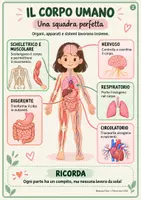 anteprima - Materiale di supporto/inclusione - Viaggio nel corpo umano – Mappe e attività di Scienze - Pagina 1