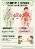 anteprima - Materiale di supporto/inclusione - Viaggio nel corpo umano – Mappe e attività di Scienze - Pagina 2