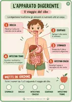anteprima - Materiale di supporto/inclusione - Viaggio nel corpo umano – Mappe e attività di Scienze - Pagina 3
