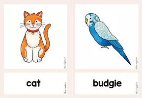 Vorschau - Bildkarten - Flashcards Pets - Bild- und Wortkarten - Seite 3