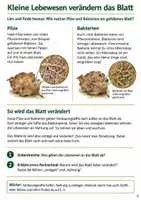 Vorschau - Arbeitsblätter - Herbstlaub & Bodenleben – Mission unter der Erde | Sachunterricht Klasse 4 - Seite 3