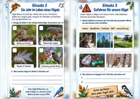 Vorschau - Unterrichtsreihen - Tierschutz Mission: Hunde, Katzen, Vögel - Materialpaket - Seite 3