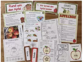 Vorschau - Unterrichtsreihen - Apfel: Unterrichtsreihe Rund um den Apfel - Mein Apfelbuch Sachunterricht Klasse 1/ 2 - Herbst - Sommer - Seite 2
