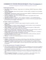 Vorschau - Arbeitsblätter - Guadeloupe-Recherche Arbeitsblatt Klasse10 auf Französisch - Seite 2
