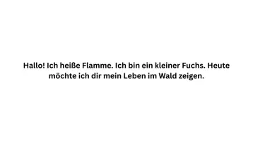 Vorschau - Bildkarten - Kamishibai-Paket | Waldtiere im Herbst | 4 liebevolle Geschichten für Kita & Vorschule - Seite 2