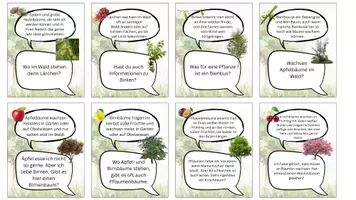 Vorschau - Spiele - Lesespiel Büsche und Bäume - Seite 3