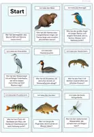 Vorschau - Spiele - Lernspiel Tiere im und am Wasser - Seite 1